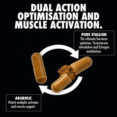 T-Boost Stack V2 - Esteem Strong